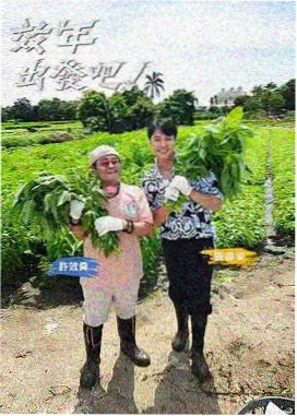 蜜桃视频在线观看免费 综艺大咖